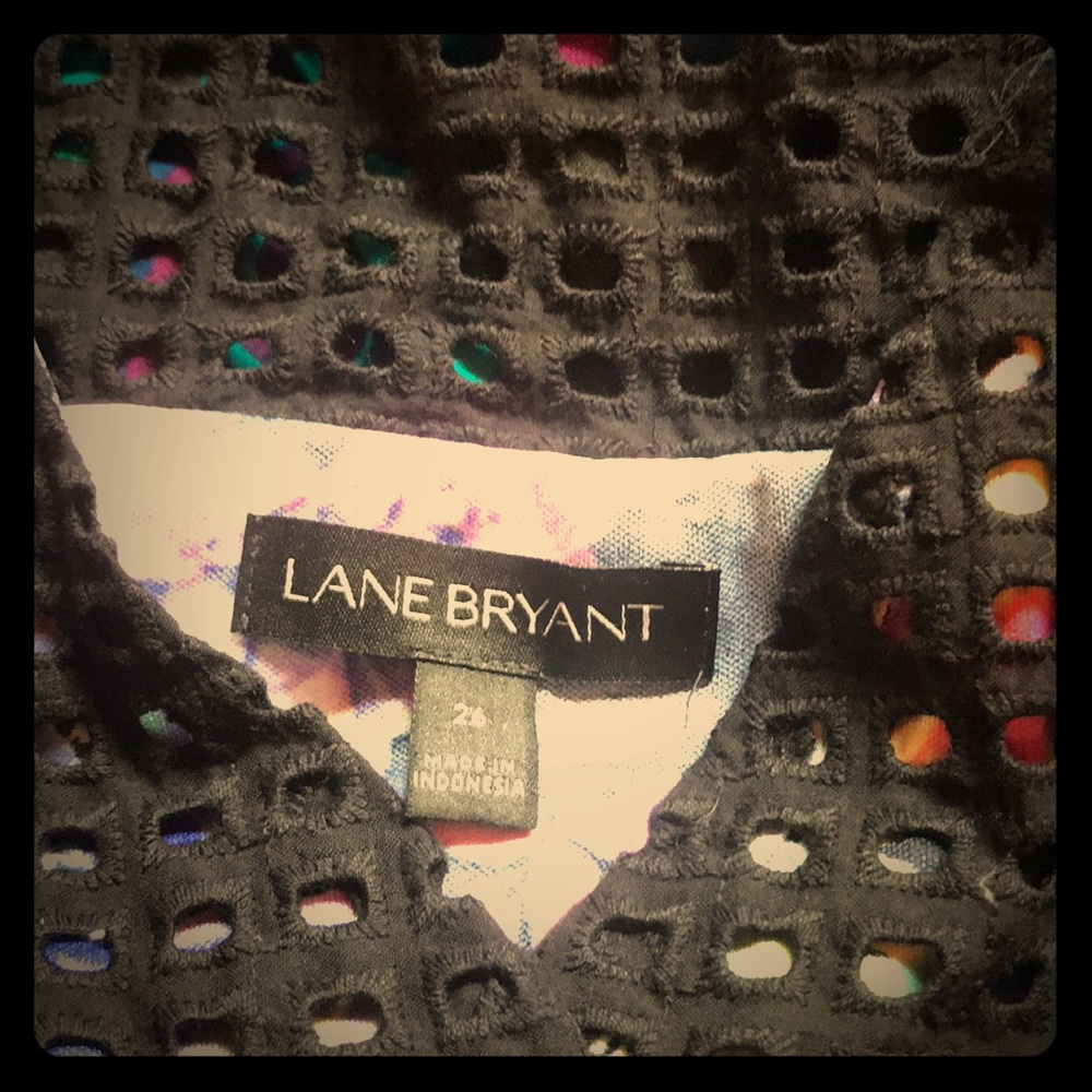 Lane Bryant Dress.